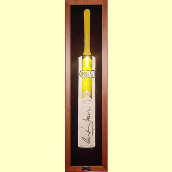 Honours and Awards, Sports Memorabilia Displays