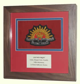 Example of a badge display mounted in a frame